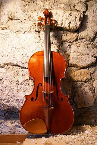 5 String Viola front