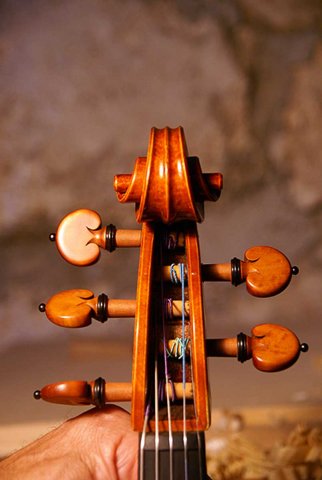 5 String Viola neck front