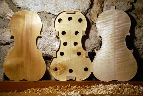 5 String Viola ribs front & back