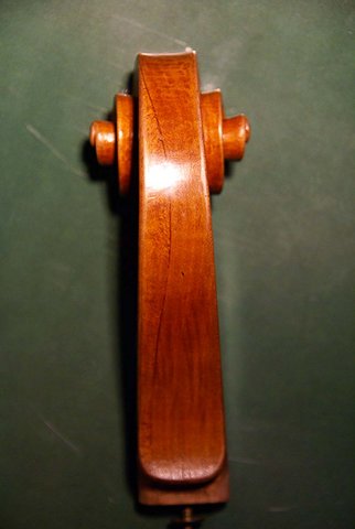 Zanetto Scroll Restoration varnished back