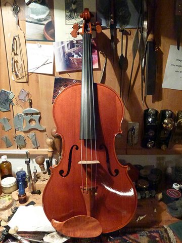 Viola chubby 1 varnished & setup front